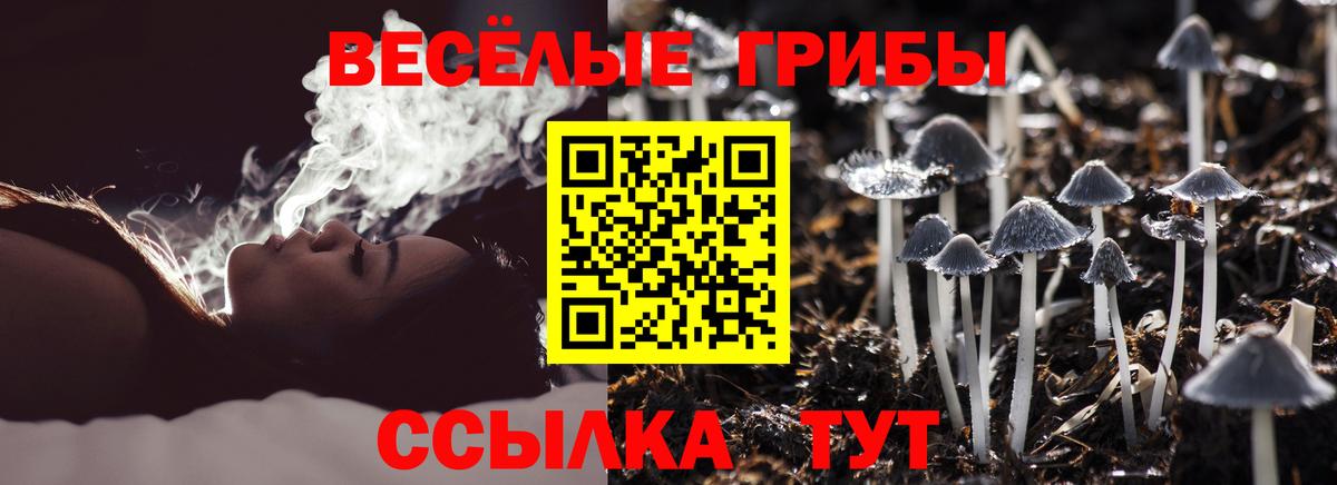 Псилоцибиновые грибы Cubensis  Вход с VPN  Брянск 